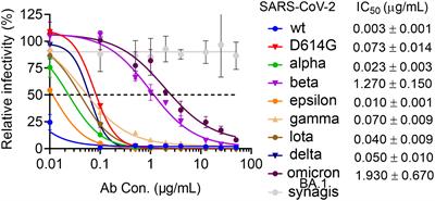 The molecular basis of the neutralization breadth of the RBD-specific antibody CoV11